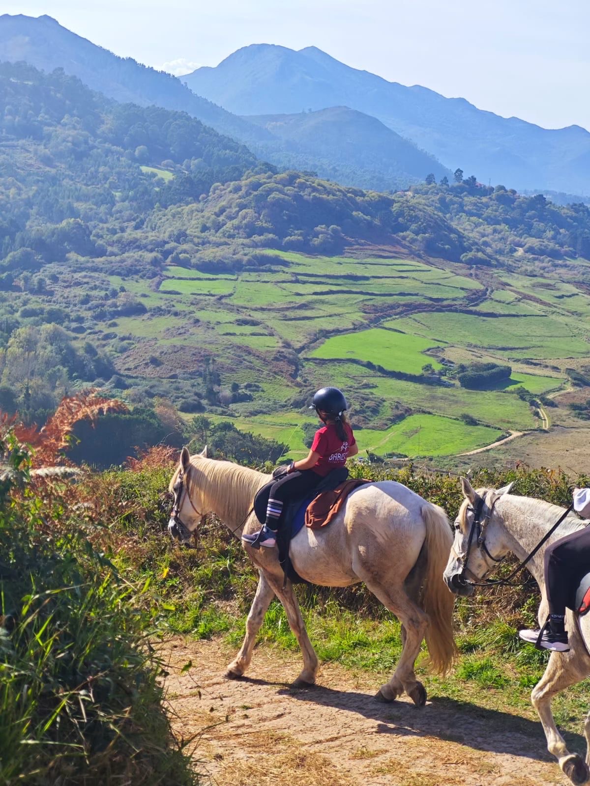 Hiszpania Aturia konie dolina góry